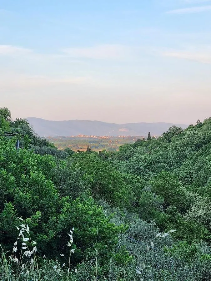 Appartamenti Anguria Toscana Scrofiano Apartment